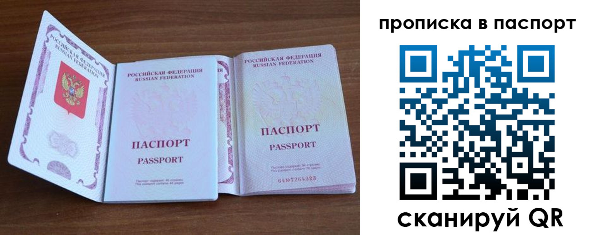 временная регистрация поиск в Коле